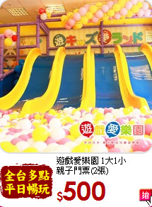 遊戲愛樂園 1大1小<br>
親子門票(2張)