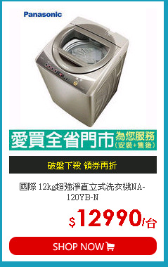 國際 12kg超強淨直立式洗衣機NA-120YB-N