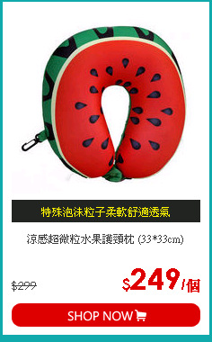 涼感超微粒水果護頸枕 (33*33cm)