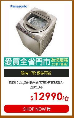 國際 12kg超強淨直立式洗衣機NA-120YB-N