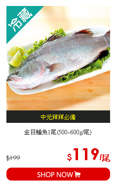 金目鱸魚1尾(500~600g/尾)