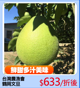 台灣農漁會
鶴岡文旦