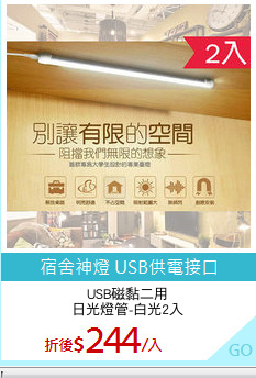 USB磁黏二用
日光燈管-白光2入