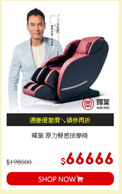 輝葉 原力臀感按摩椅