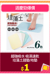 超強吸水 吸濕速乾
珪藻土踏墊/地墊