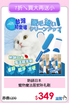 熱銷日本<br>寵物魔法居家除毛刷