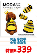 萬聖節變裝
小蜜蜂造型