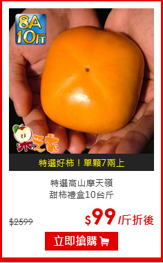 特選高山摩天嶺<br>甜柿禮盒10台斤