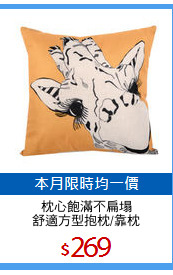 枕心飽滿不扁塌
舒適方型抱枕/靠枕
