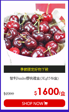 智利Jumbo櫻桃禮盒(3Kg±5%/盒)