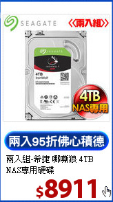 兩入組-希捷 哪嘶狼
4TB NAS專用硬碟