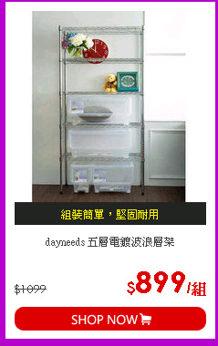 dayneeds 五層電鍍波浪層架