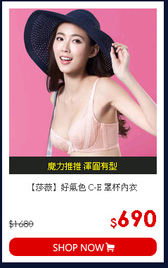 【莎薇】好氣色 C-E 罩杯內衣