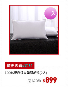 100%飯店級立體羽毛枕(2入)