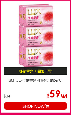 麗仕Lux柔嫩香皂-水嫩柔膚85g*6