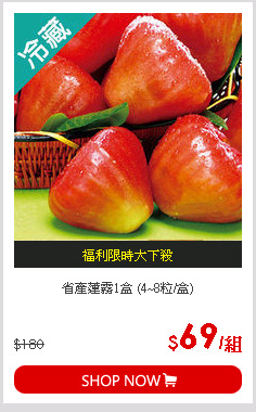 省產蓮霧1盒 (4~8粒/盒)