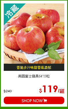 美國富士蘋果64