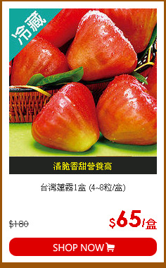 台灣蓮霧1盒 (4~8粒/盒)