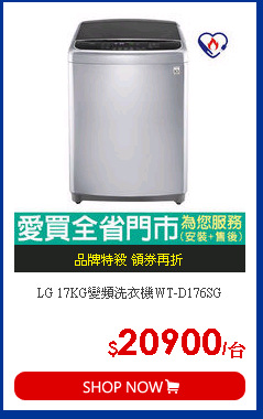 LG 17KG變頻洗衣機WT-D176SG