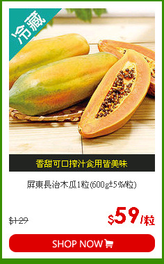 屏東長治木瓜1粒(600g±5%/粒)