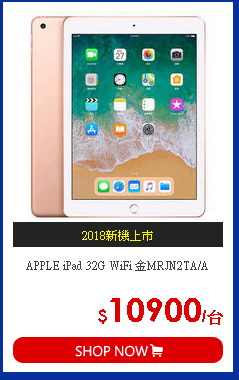 APPLE iPad 32G WiFi 金MRJN2TA/A