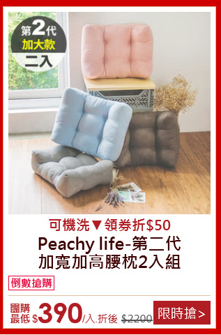 Peachy life-第二代<BR/>
加寬加高腰枕2入組