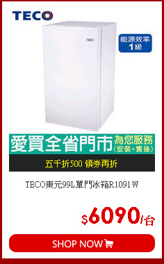 TECO東元99L單門冰箱R1091W
