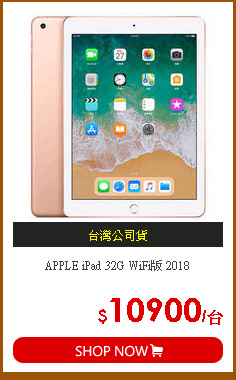 APPLE iPad 32G WiFi版 2018