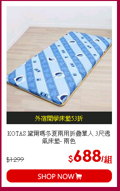 KOTAS 黛爾瑪冬夏兩用折疊單人 3尺透氣床墊- 兩色