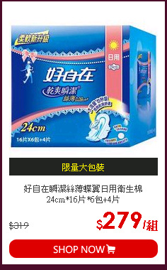 好自在瞬潔絲薄蝶翼日用衛生棉24cm*16片*6包+4片