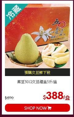 麻豆5012文旦禮盒5斤/盒