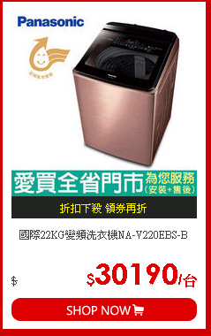 國際22KG變頻洗衣機NA-V220EBS-B