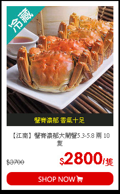 【江南】蟹膏濃郁大閘蟹5.3-5.8 兩 10 隻