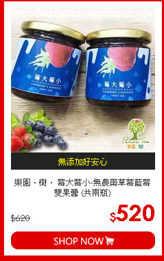 樂園．樹． 莓大莓小-無農藥草莓藍莓雙果醬 (共兩瓶)