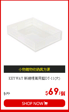 KEYWAY 新總理萬用籃DT-11(大)