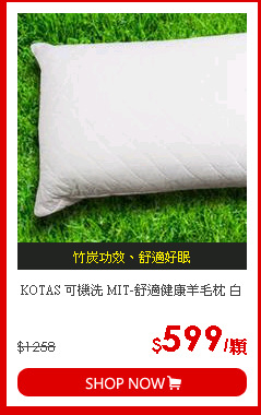 KOTAS 可機洗 MIT-舒適健康羊毛枕 白