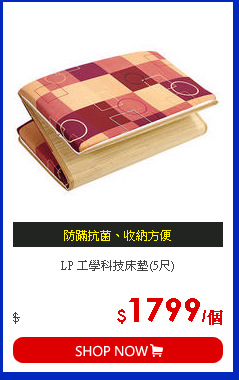 LP 工學科技床墊(5尺)