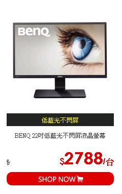 BENQ 22吋低藍光不閃屏液晶螢幕