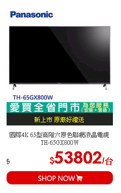 國際4K 65型高階六原色聯網液晶電視TH-65GX800W