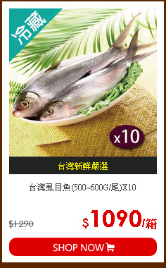 台灣虱目魚(500~600G/尾)X10
