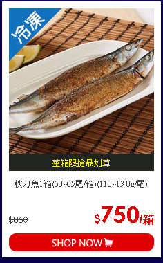 秋刀魚1箱(60~65尾/箱)(110~13 0g/尾)