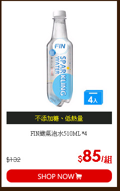 FIN纖氣泡水510ML*4