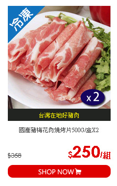 國產豬梅花肉燒烤片500G/盒X2