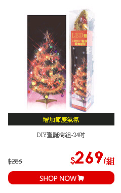 DIY聖誕樹組-24吋