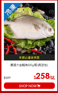 嚴選大金鯧魚600g/尾(真空包)