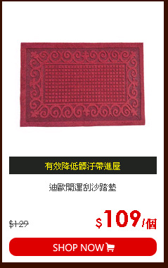 迪歐開運刮沙踏墊