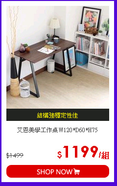 艾恩美學工作桌W120*D60*H75