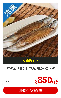 【整箱最划算】秋刀魚1箱(60~65尾/箱)