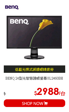 BENQ 24型光智慧護眼螢幕GL2460BH