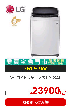 LG 17KG變頻洗衣機 WT-D179SG